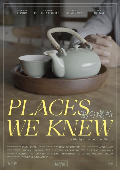 Places We Knew (2024) poster