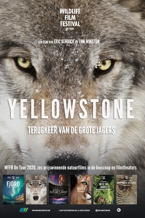 Yellowstone (2020) poster