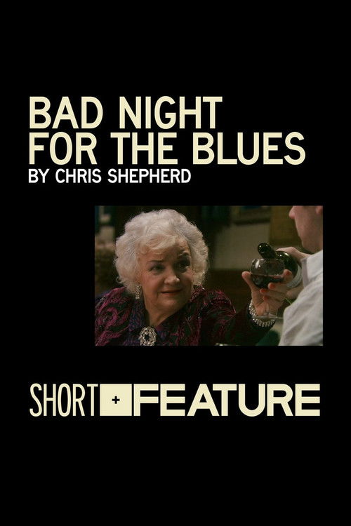 Bad Night for the Blues (2010) poster