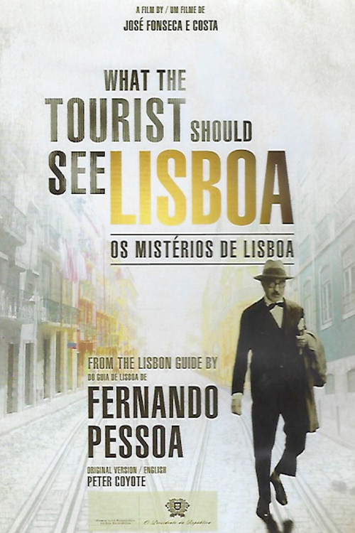 What The Tourist Should See (2009) poster