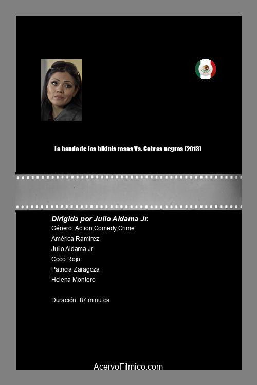 La banda de los bikinis rosas Vs. Cobras negras (2013) poster