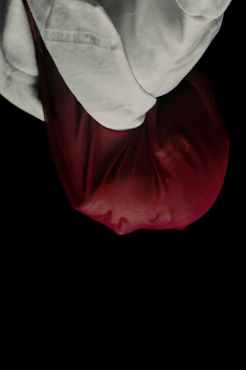 It Is Not Spring, Until All Flowers Blossom (2023) poster