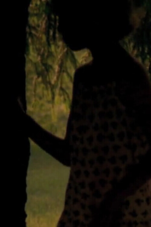 Cabinet (2006) poster