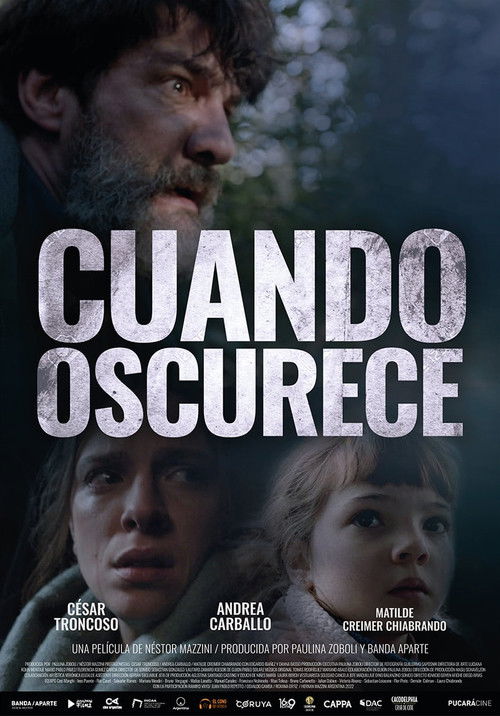 Cuando oscurece (2022) poster
