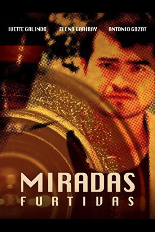 Miradas Furtivas (2013) poster
