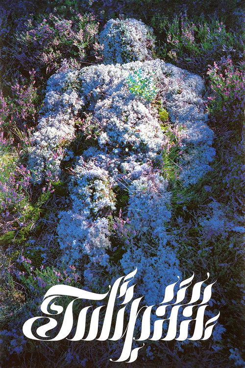 Tulipää (1980) poster