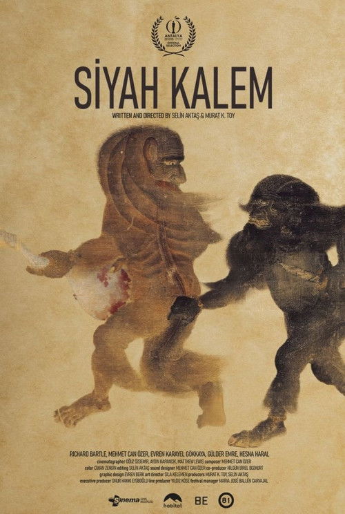 Siyah Kalem (2025) poster