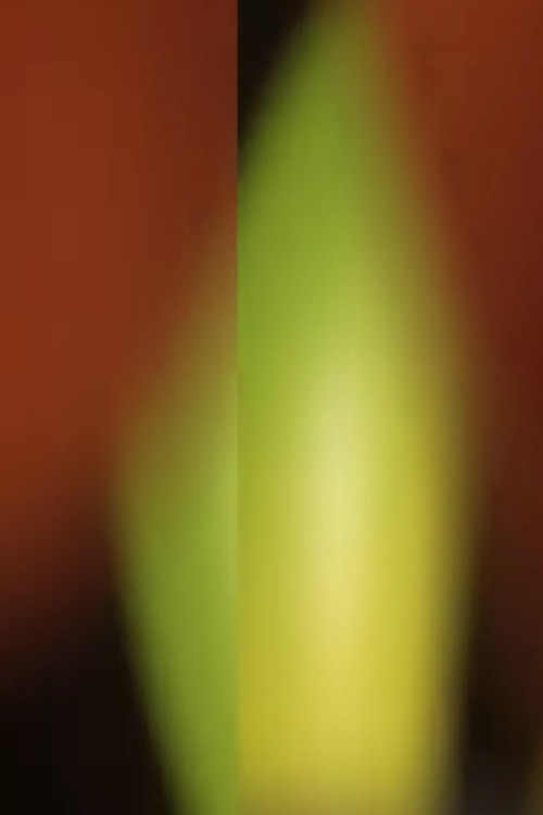 Stretch and Pull (2014) poster