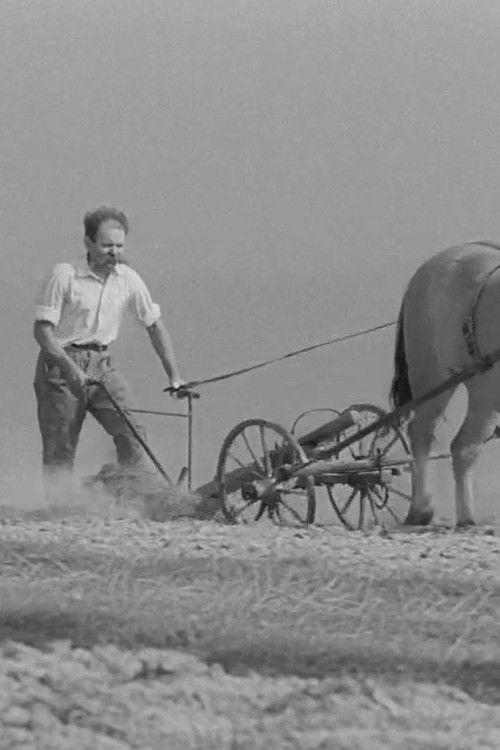 The Independent Peasant (1982) poster