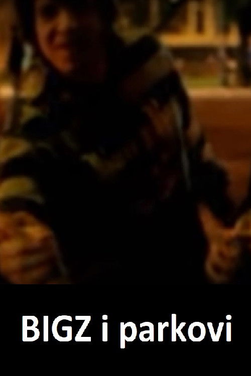 BIGZ and Parks (2010) poster