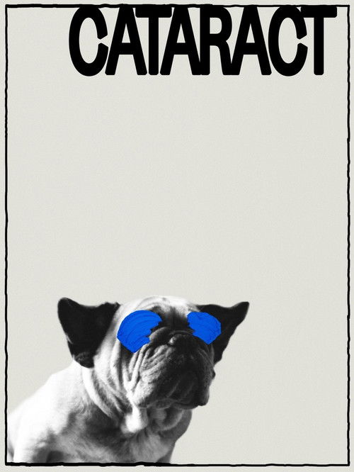 Cataract (2021) poster