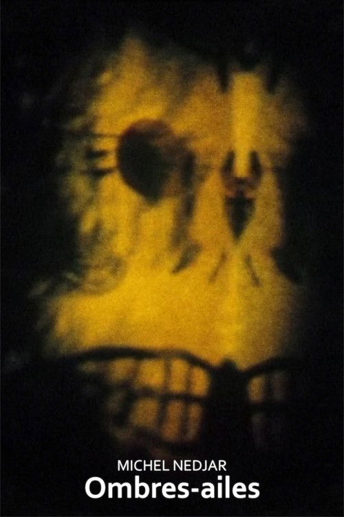 Ombres-ailes (1980) poster