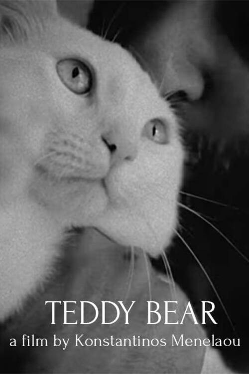 Teddy Bear (2023) poster