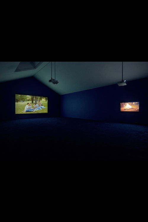 Another America is Possible (2017) poster