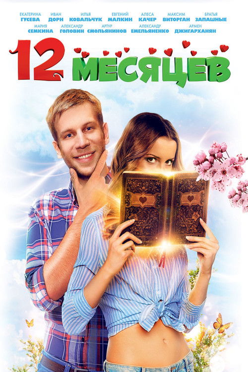 12 месяцев (2013) poster