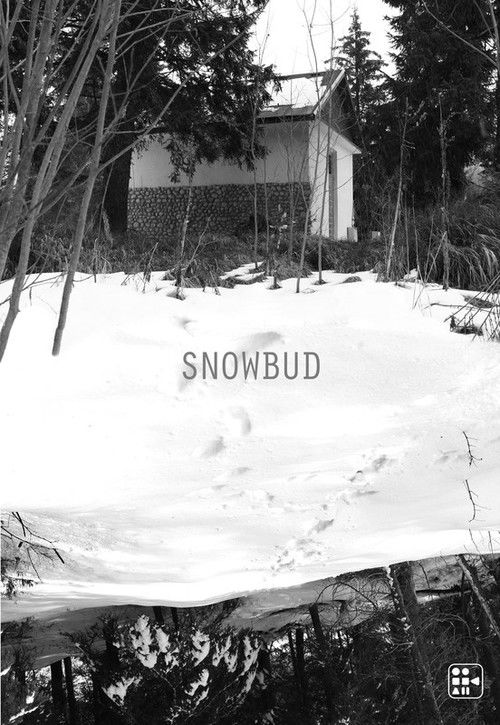 Snowbud (2016) poster