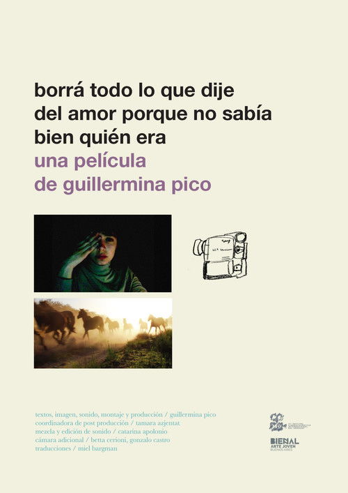 Borrá todo lo que dije del amor porque no sabía bien quién era (2016) poster