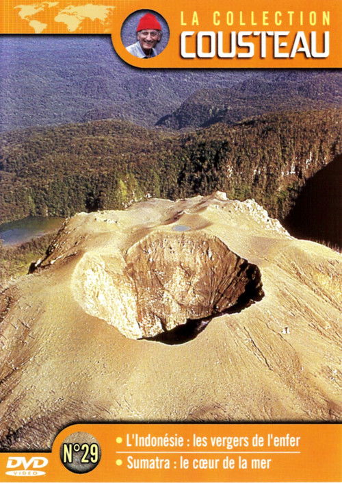 The Cousteau Collection N°35-1 | The Sharks (1967) poster