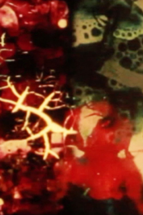 Decomposed Landscapes (2019) poster