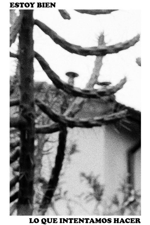 Estoy Bien - Lo Que Intentamos Hacer (Lanzamiento) (2020) poster