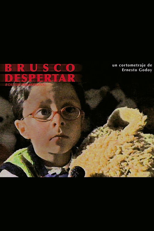 Brusco despertar (2003) poster