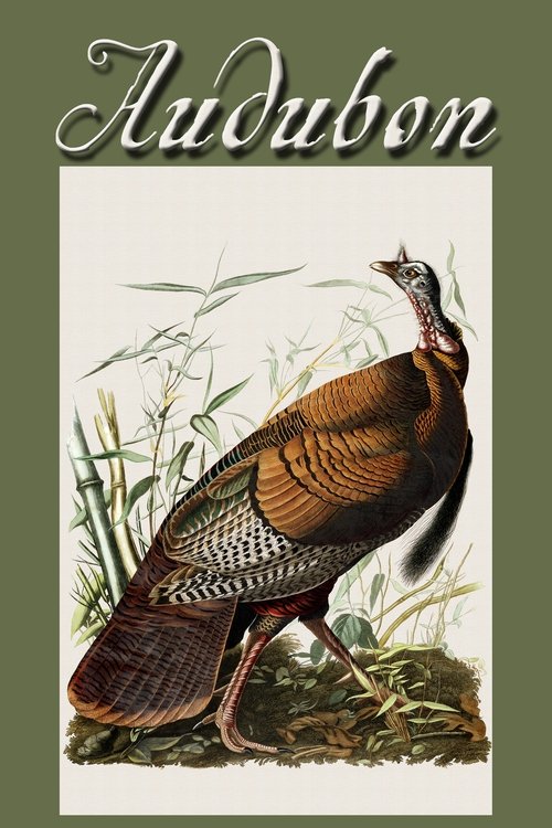 Audubon (2017) poster