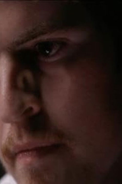 Schizophrenia: The Voices in My Head (2017) poster