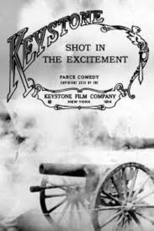 Shot in the Excitement (1914) poster
