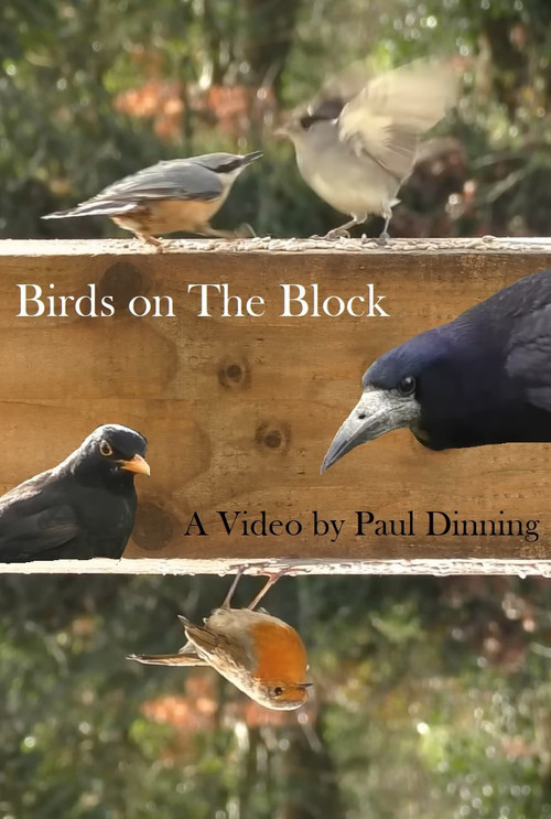 Birds on The Block (2023) poster