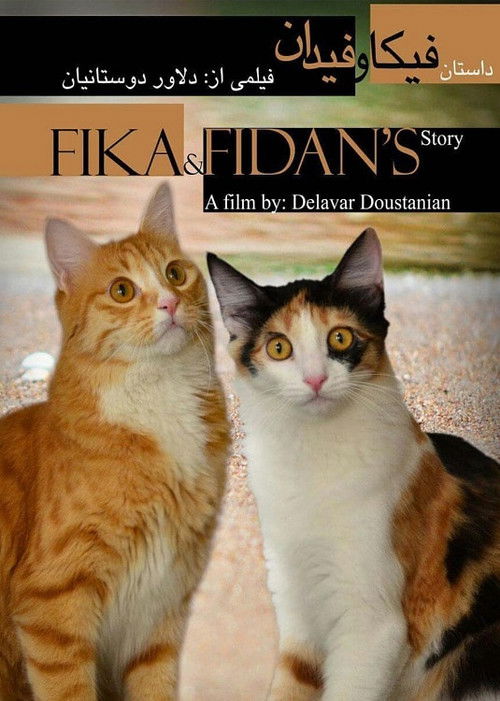 The Story of Fika and Fidan (2017) poster