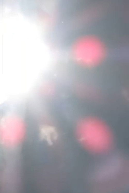 de câteva săptămâni mă tot trezesc uitându-mă la pătura de la bunica (2023) poster