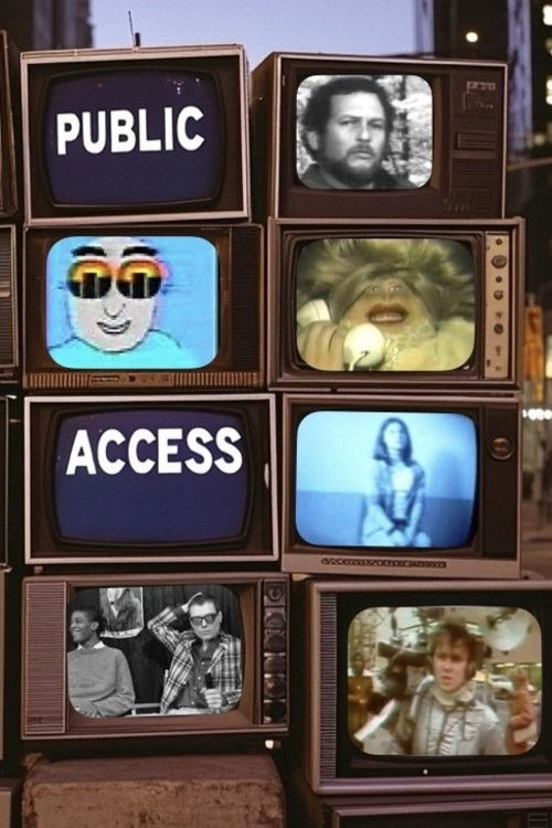 Public Access (2026) poster