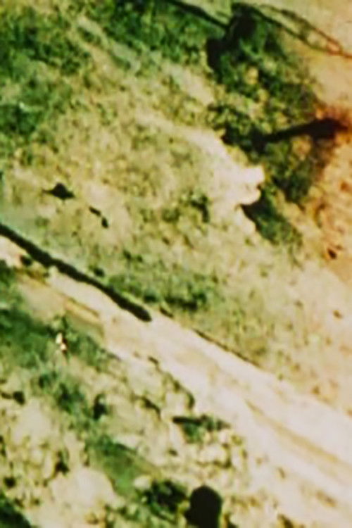 Rubbish (1970) poster