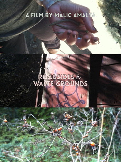 Roadsides and Waste Grounds (2012) poster