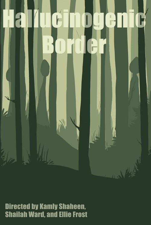 Hallucinogenic Border (2023) poster