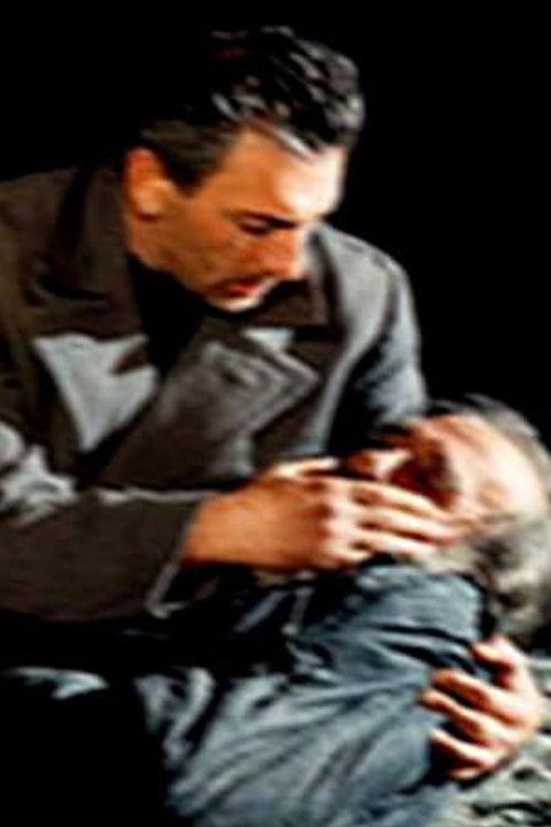 Labyrinth (1996) poster