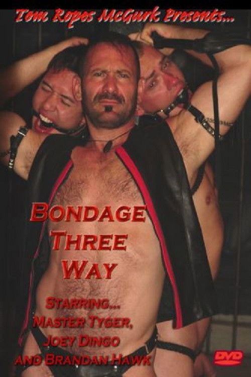 Bondage Three Way (2008) poster