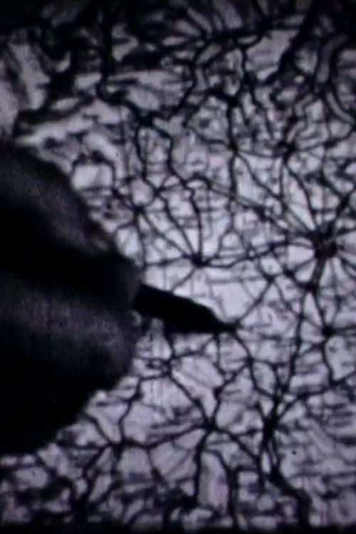 Anno 2000 (1965) poster