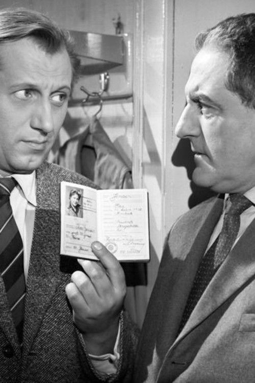 Bonner Pitaval - Die Affäre Heyde-Sawade (1963) poster