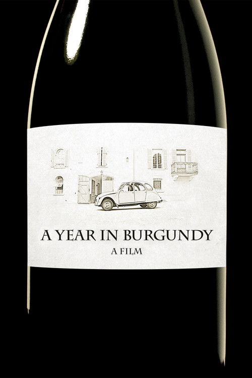 A Year in Burgundy (2013) poster