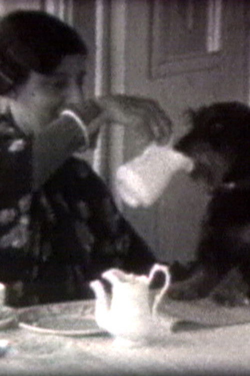 Dusi & Jenõ (1989) poster