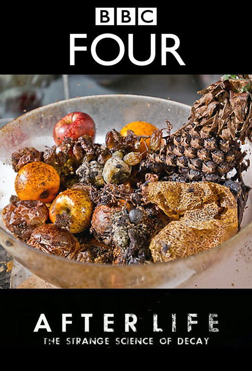 After Life: The Strange Science of Decay (2011) poster