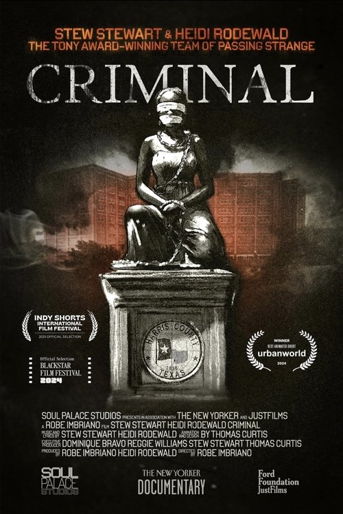 Criminal (2024) poster