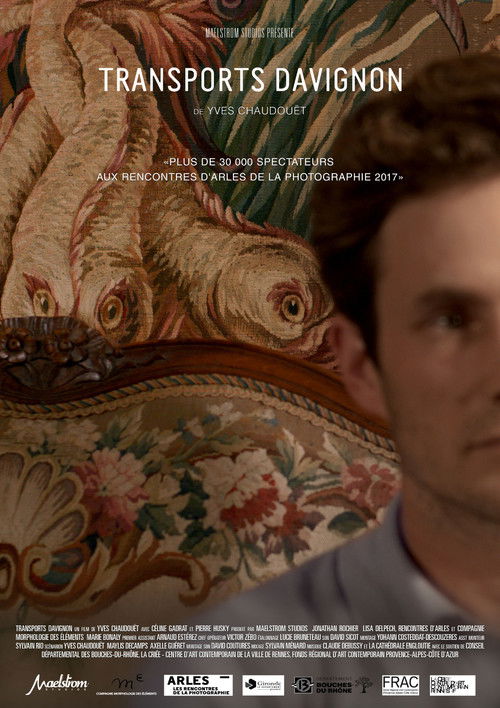 Transports Davignon (2017) poster