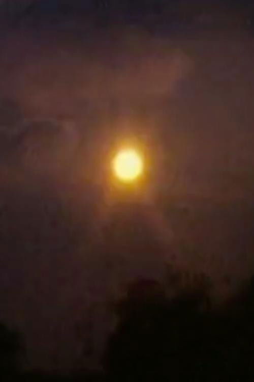 Round Trip (1986) poster