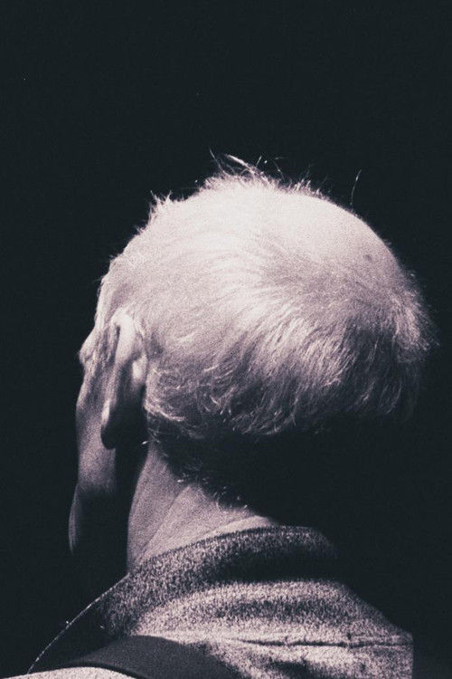 L'étoile Polaire (2008) poster