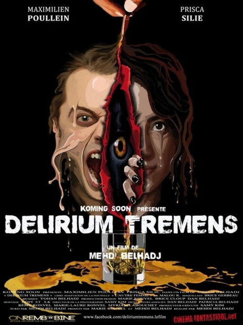 Delirium Tremens (2013) poster