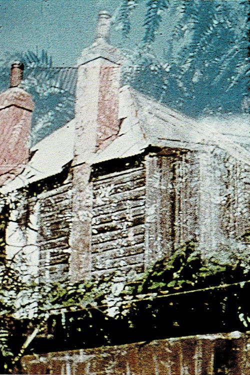 Backyard (1976) poster