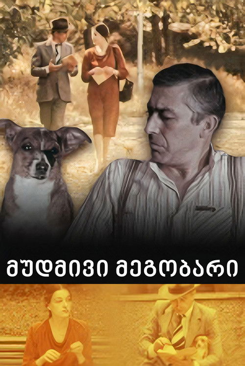 მუდმივი მეგობარი (1980) poster