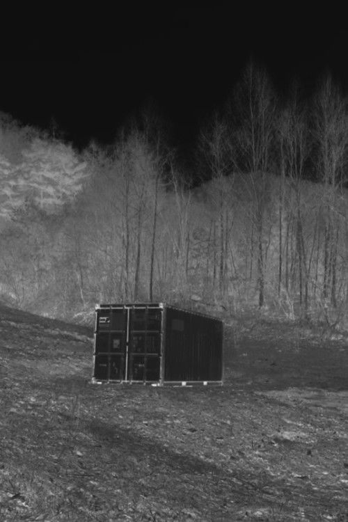 Belated Bosal (2019) poster